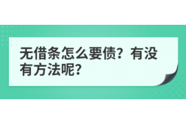 潞城为什么选择专业追讨公司来处理您的债务纠纷？